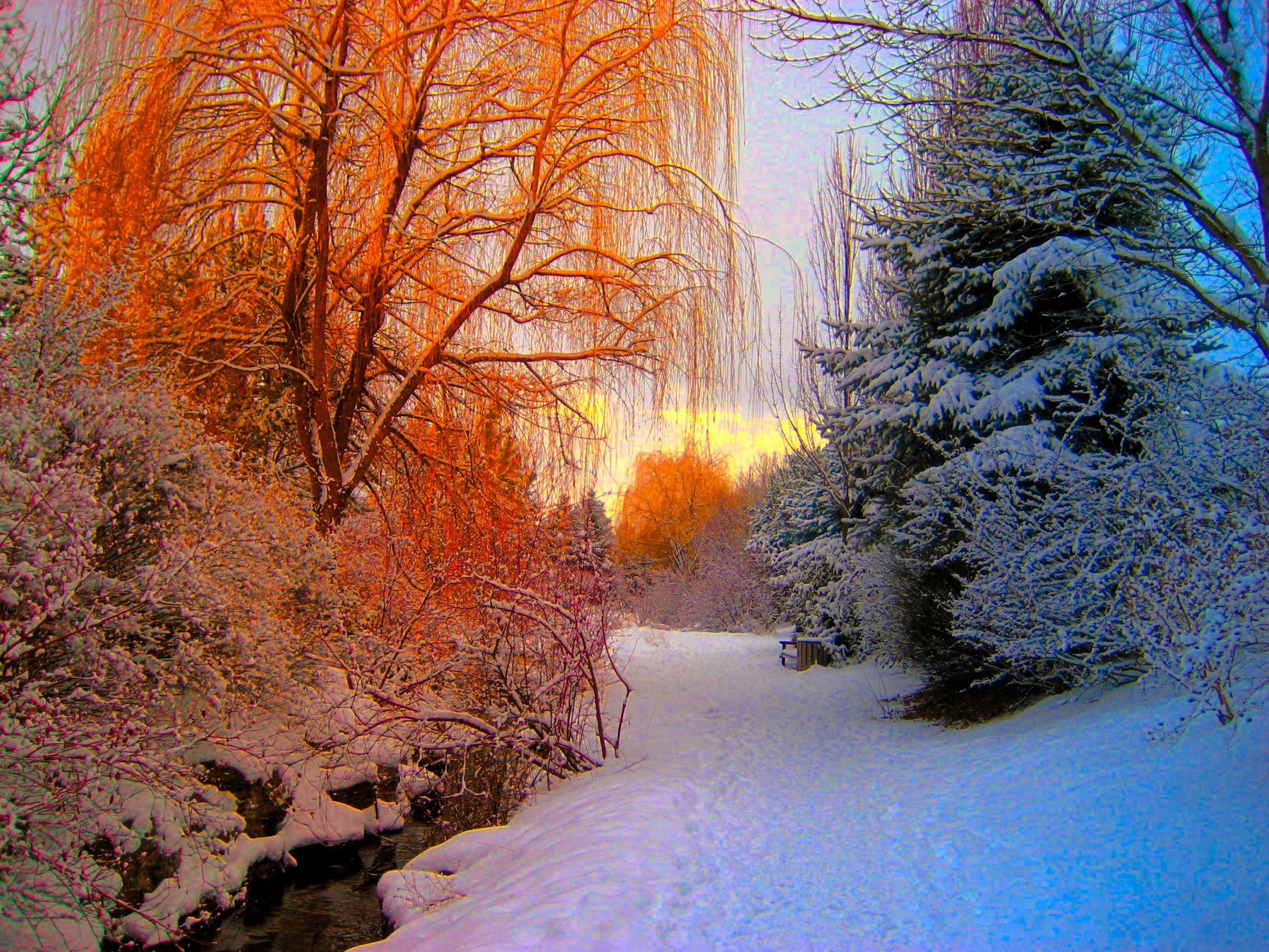 A vibrant winter scene in Pinehouse, SK, Canada with snow-covered trees and warm sunset hues.
