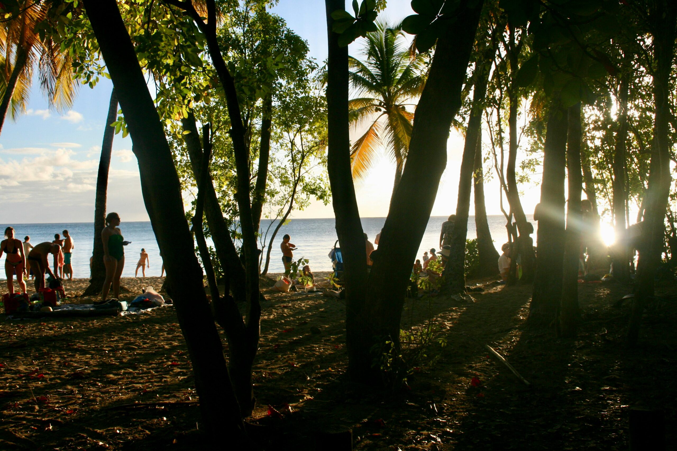 Silhouettes of people enjoying a sunset on a Martinique beach framed by lush trees.