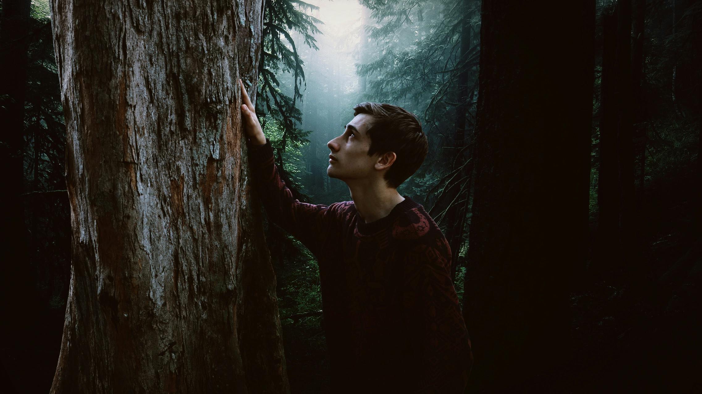 Connaître le nom de son âme : révélez votre vraie nature 3 A pensive young man in a dark forest, touching a tree, surrounded by mist.