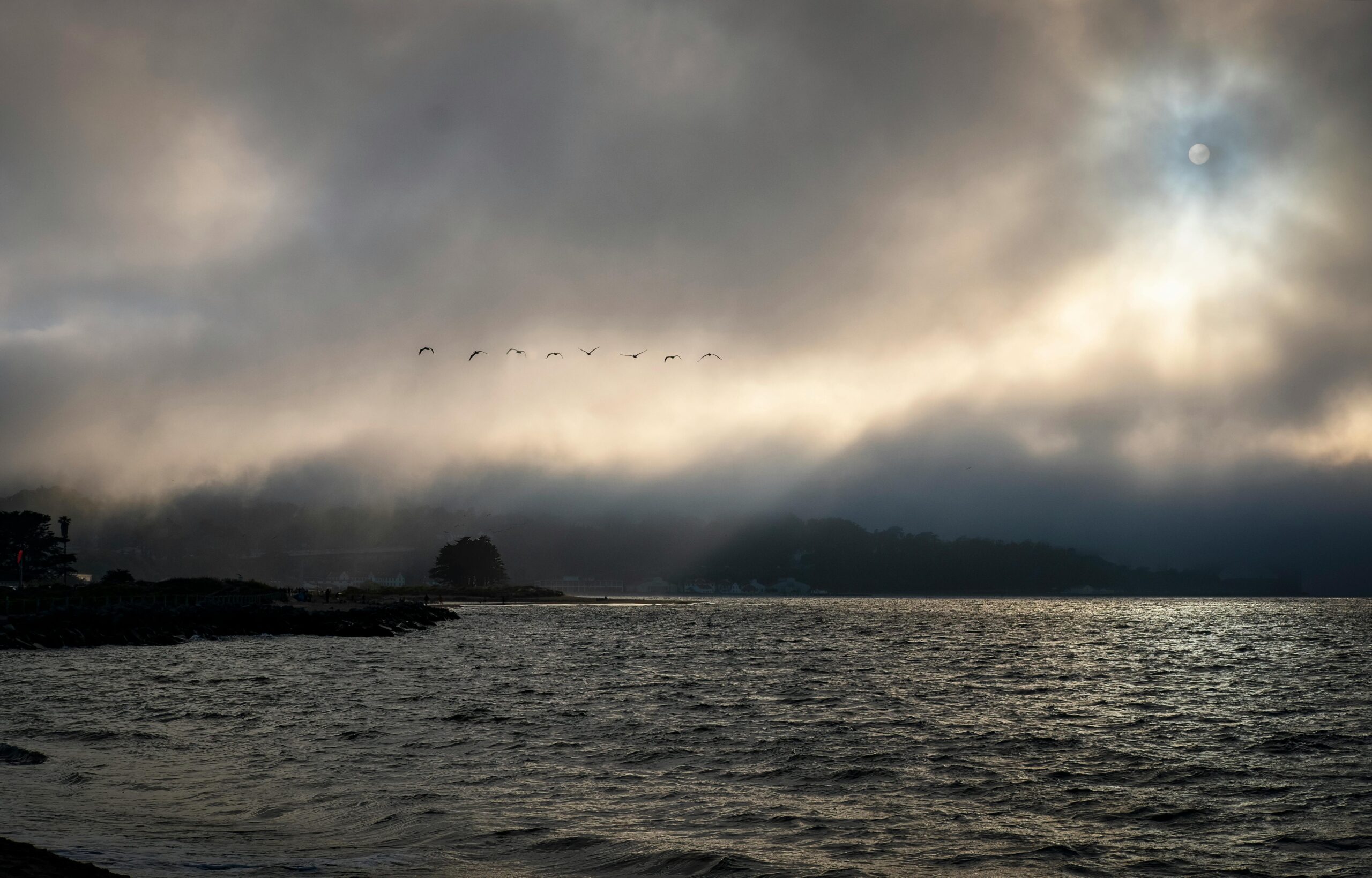 A stunning panorama of the ocean under a dramatic cloudy sky during dusk, with birds flying.