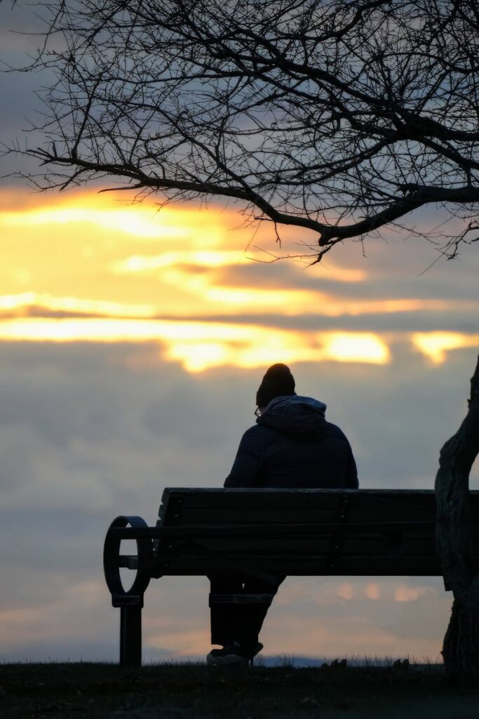 Silhouette of a person sitting on a bench at sunset under a tree.