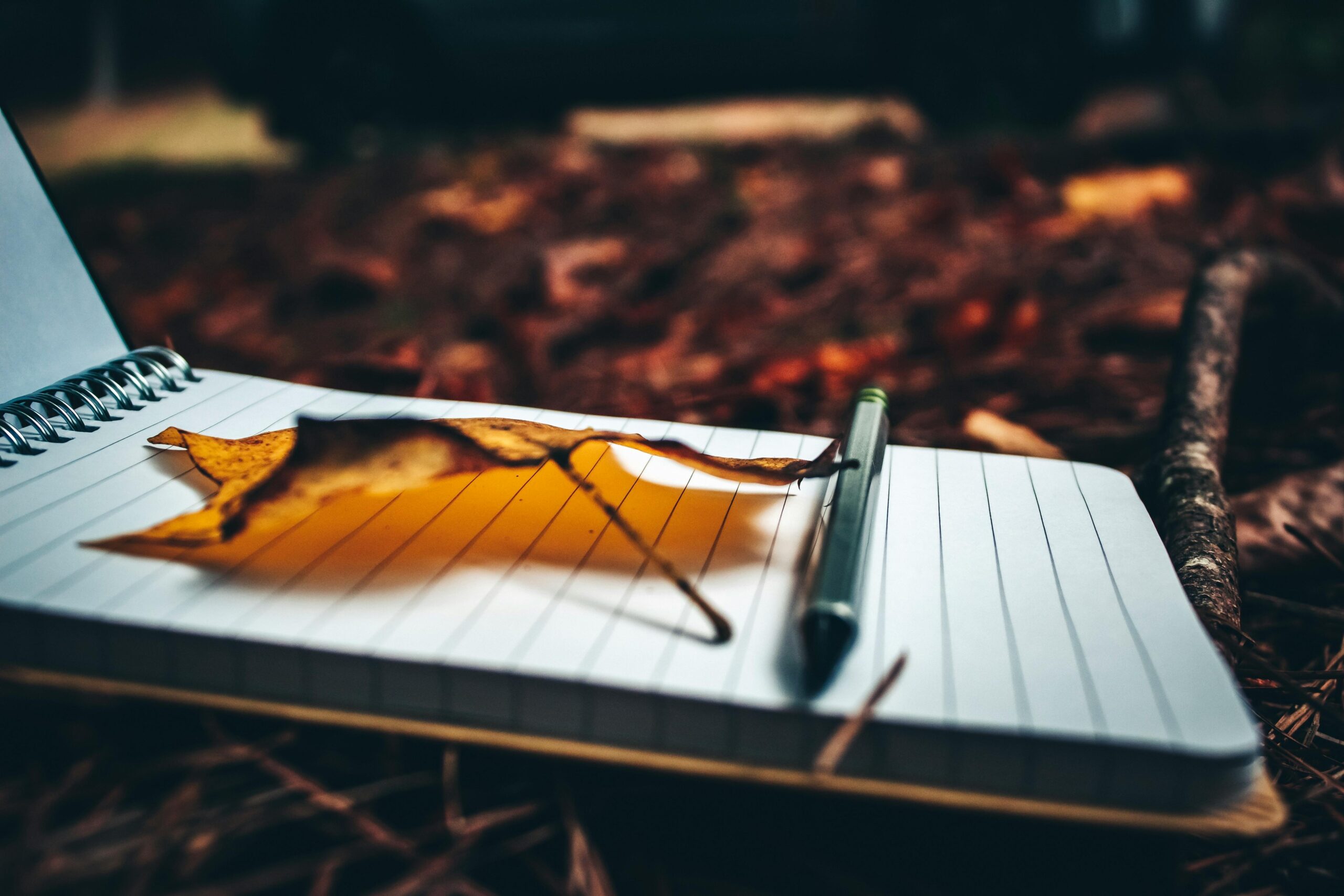 Close-up of a dried leaf on an open notebook with a pen in an outdoor setting.