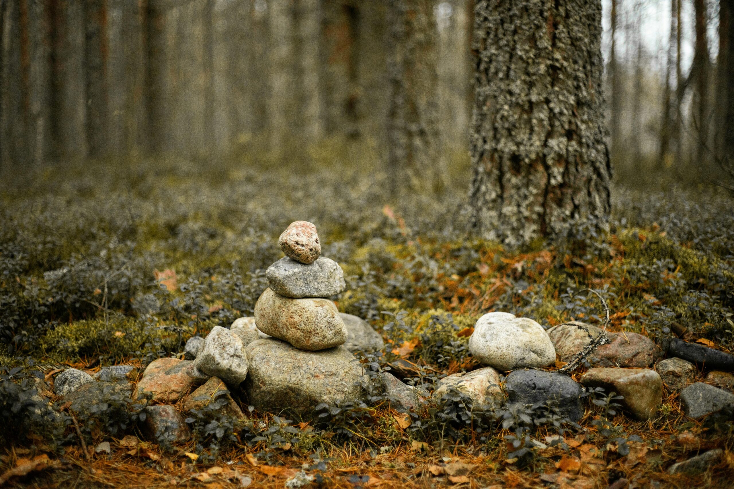 Peaceful autumn forest scene featuring a stone cairn amidst moss-covered ground.