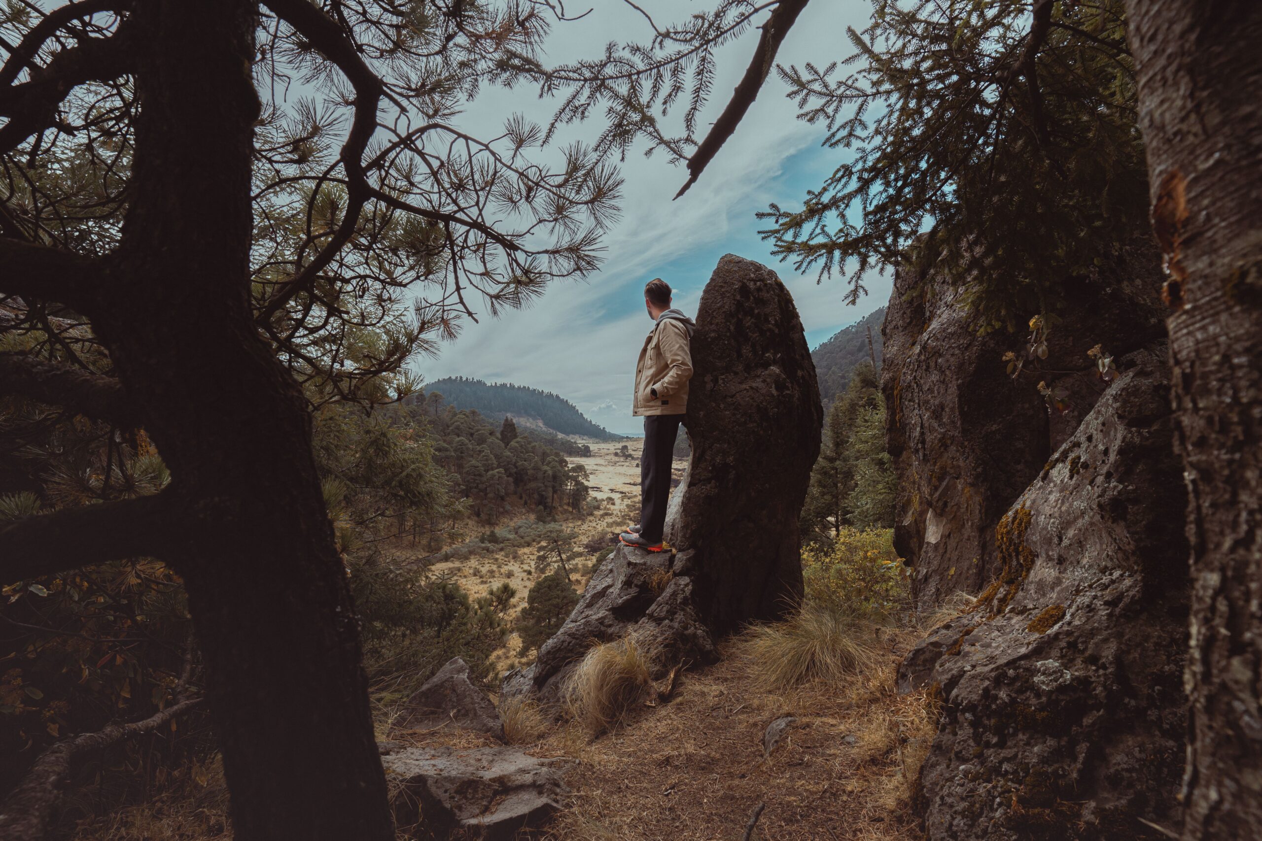 A man stands on a rock amidst trees, gazing at a scenic mountain valley.